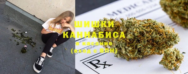 ешки Лабытнанги